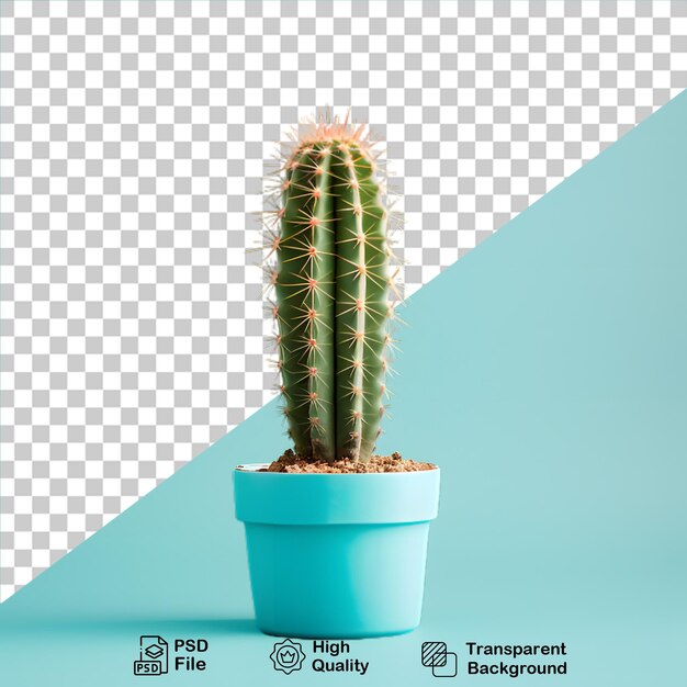 PSD cactus 3d dans un pot sur un fichier png à fond transparent