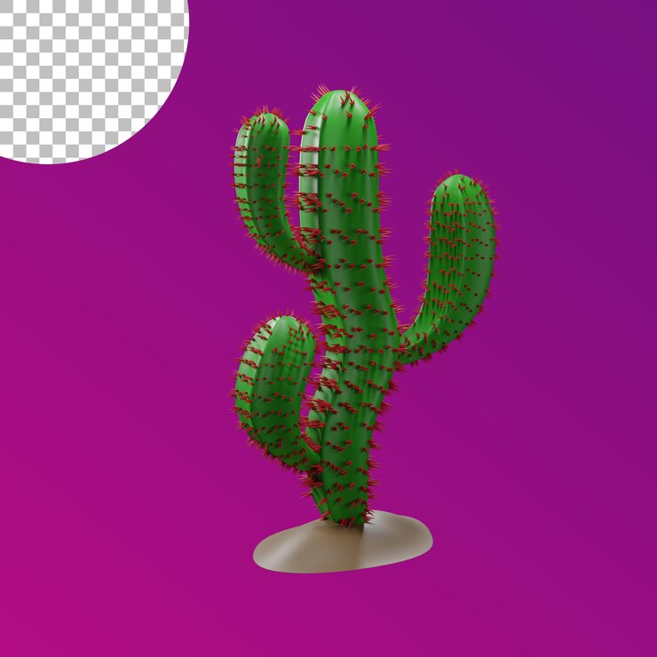 cactus 3d sin fondo