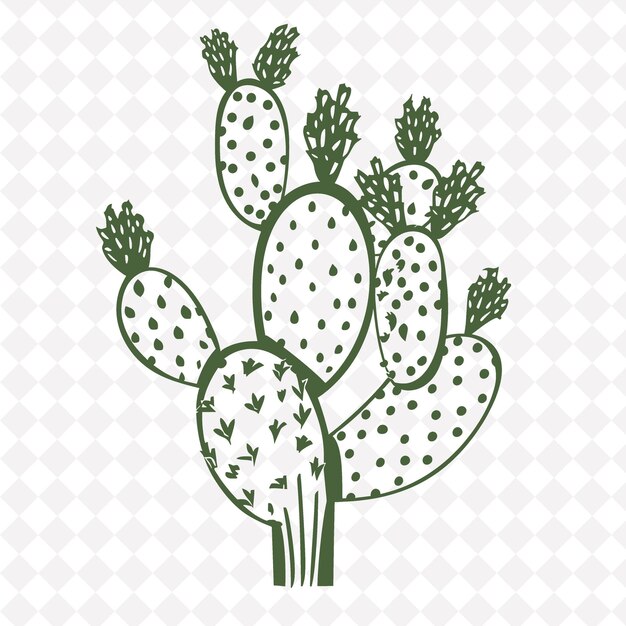 cactus en un fondo blanco con un patrón de cactus verde en la parte superior