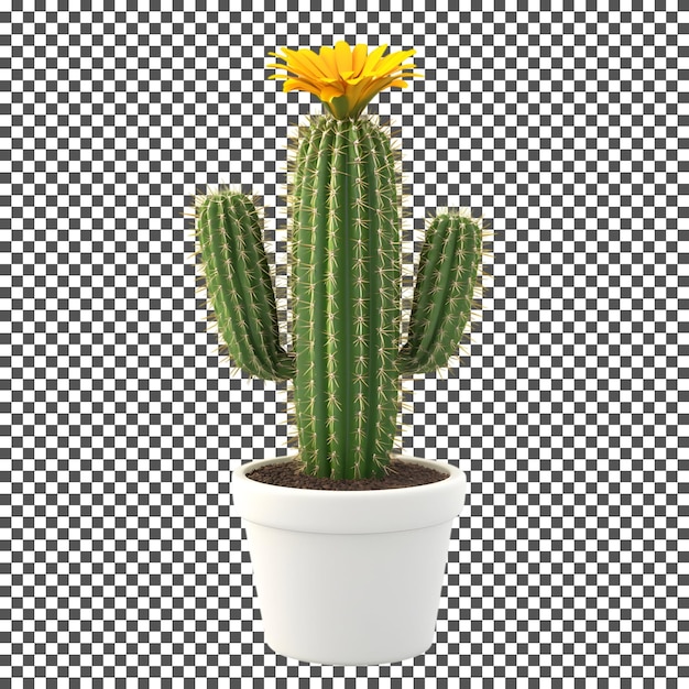 Cactus in un vaso bianco con un fiore giallo