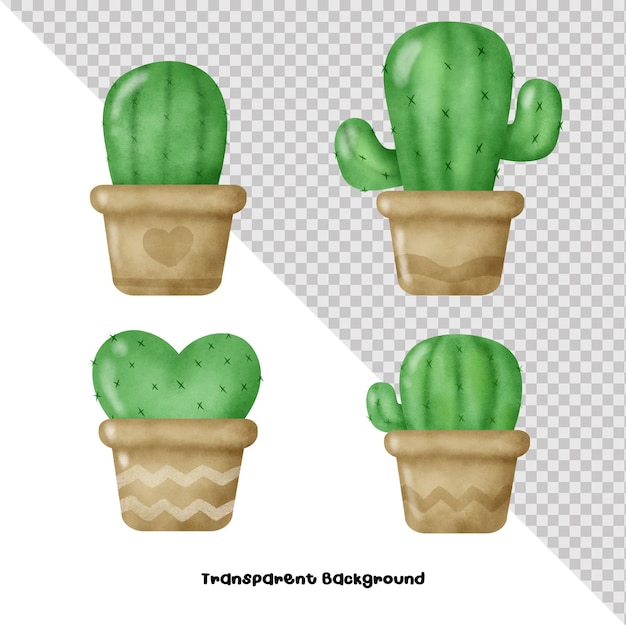 PSD cactus mignon aquarelle.