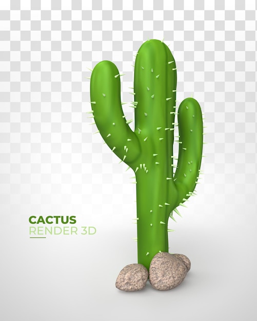 Cactus Plat Avec Rendu 3d De Style Drôle