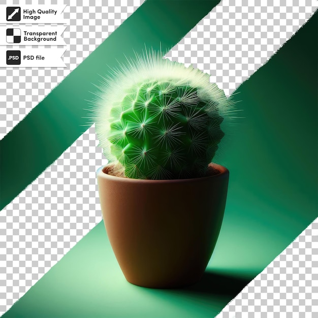 PSD cactus psd en un fondo transparente