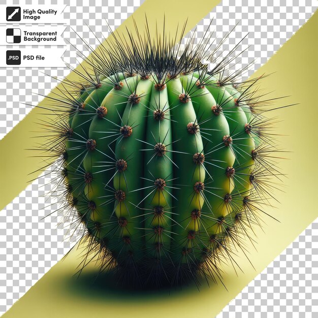 PSD cactus psd en una olla sobre un fondo transparente