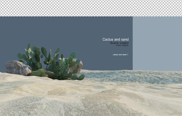 Cactus su diversi livelli di sabbia