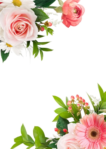 Le cadre botanique floral esthétique rose élément organique