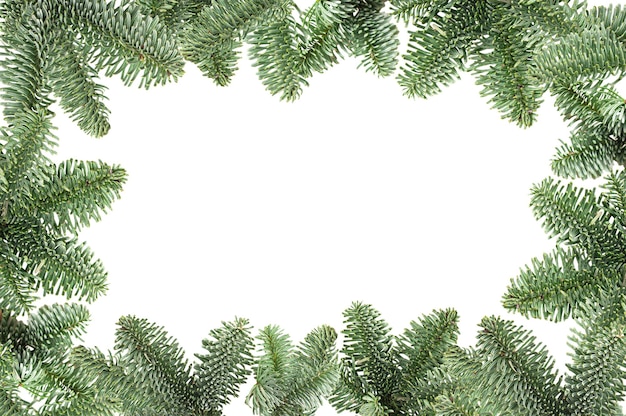 Cadre de branches d'arbre de Noël sur fond blanc isolé Élément de vacances d'hiver pour carte de vœux