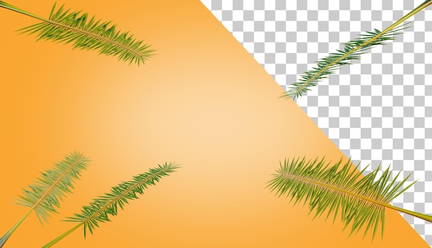 Cadre de feuilles de palmier Feuilles de palmier vert Rendu 3d Branche de palmier Fond tropical