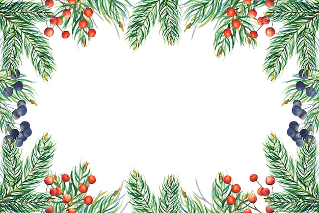 PSD cadre rectangulaire en sapin aquarelle avec branches baies rouges et bleues