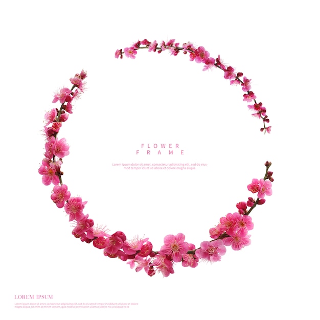 Cadres avec de belles fleurs