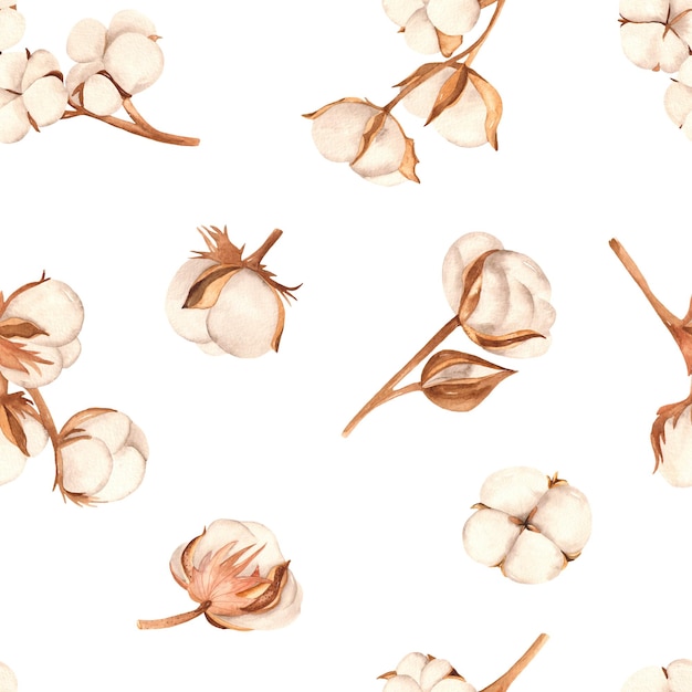 cadres à clipart en coton aquarelle couronne
