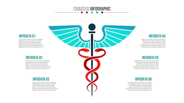 PSD caducée infographique modèle médical et de soins de santé pour présentation en 6 étapes