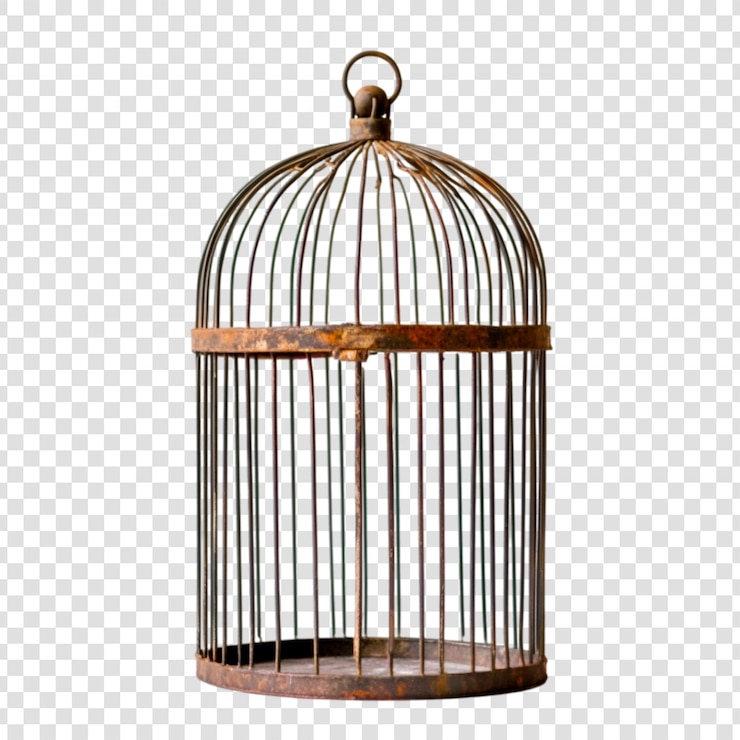 PSD cage de pássaro de metal enferrujado com desenho ornamentado