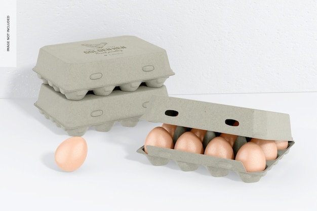 Caixa de ovos retangular para 12 maquetes, conjunto