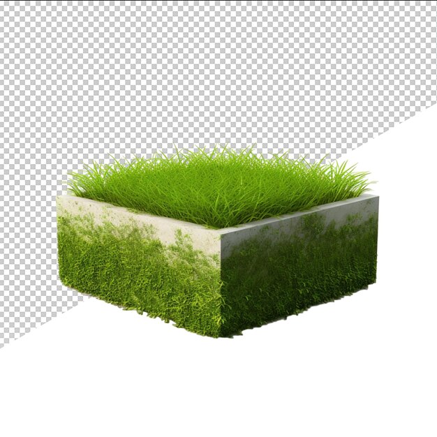 PSD una caja cuadrada verde con hierba creciendo fuera de ella