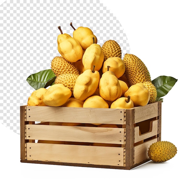 PSD una caja de jackfruit sobre fondo blanco.