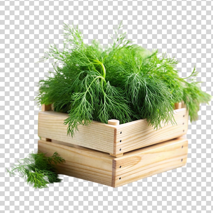 PSD una caja de madera llena de plantas verdes y hierbas en un fondo transparente