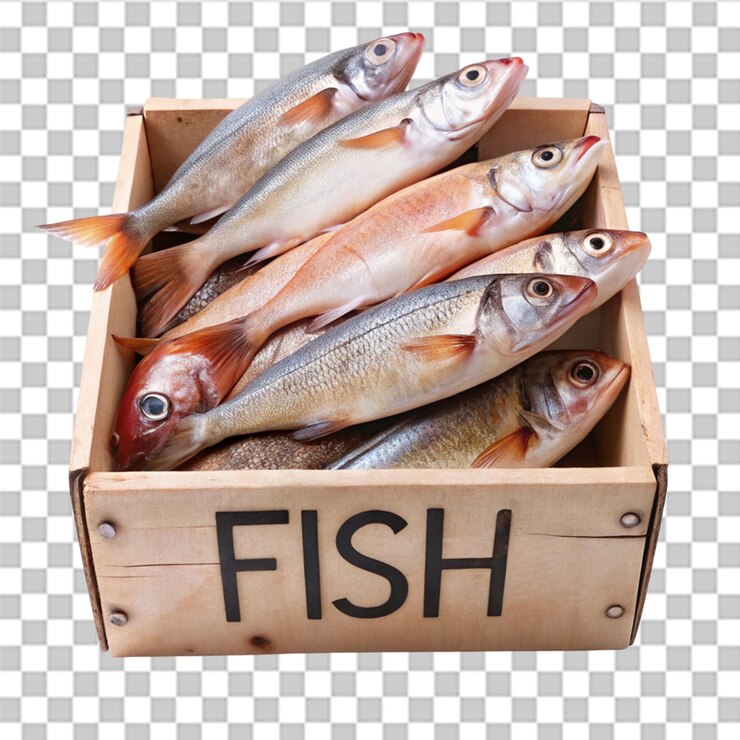 PSD caja de peces etiquetados aislados sobre un fondo transparente