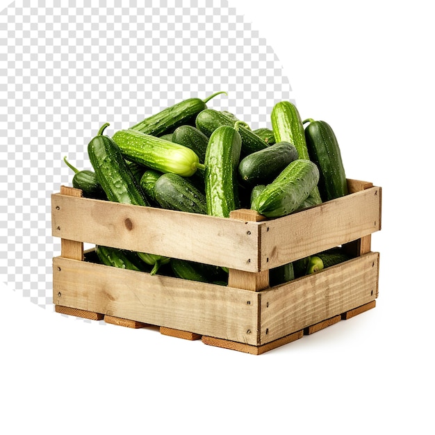 Una caja de pepino sobre fondo blanco.