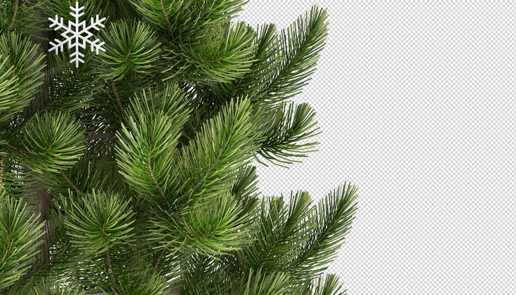 Caja de regalos árbol de navidad decorado verde claro