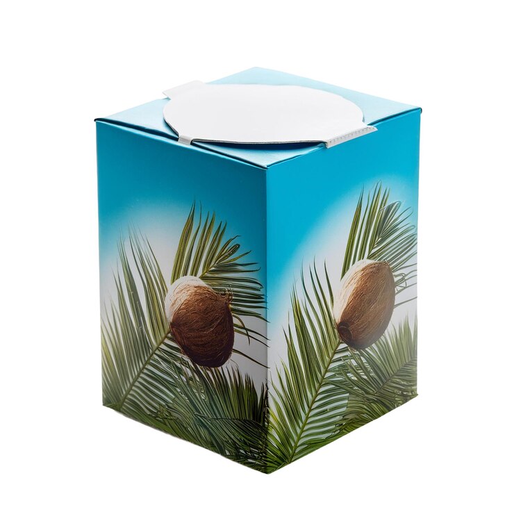 PSD caja con tema de coco con tapa blanca