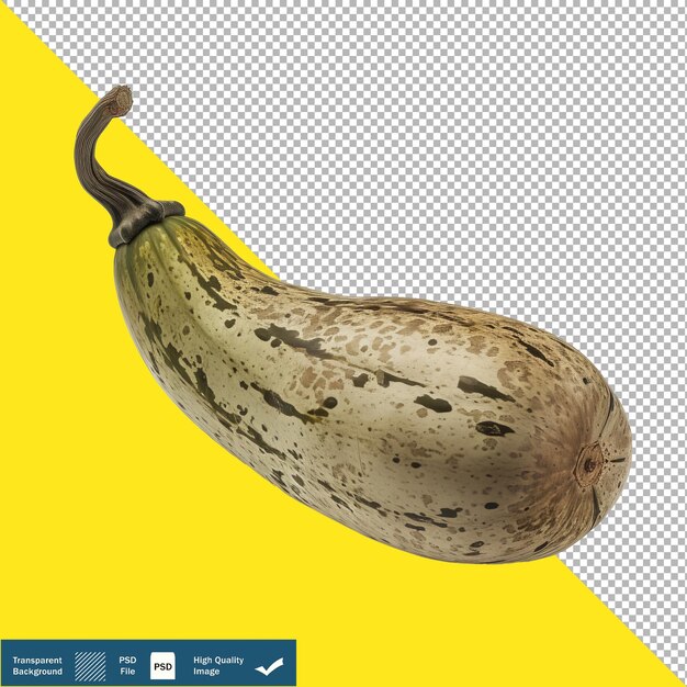 PSD calabaza de ceniza en fondo blanco foto hiperrealista de fondo transparente png psd