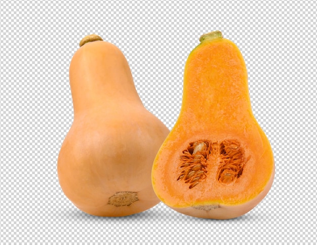 Calabaza moscada aislada en capa alfa