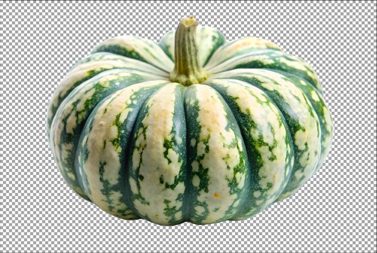 PSD la calabaza moscada aislada descansando en un jardín sereno