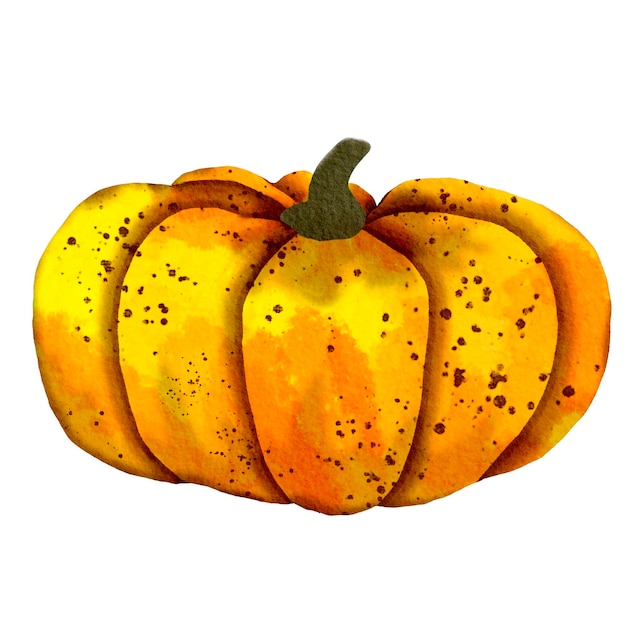 Calabaza Rústica Acuarela