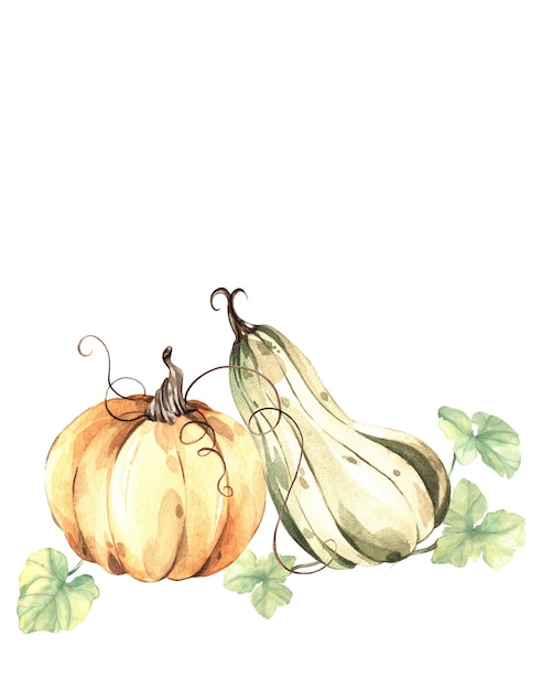 Calabazas pintadas con acuarela Calabazas de otoño con follaje