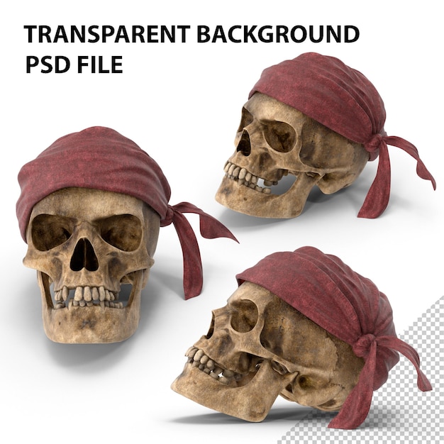 Calavera pirata png