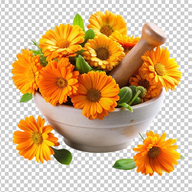 PSD calendula officinalis isolada