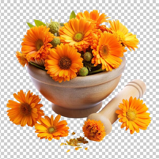 PSD calendula officinalis isolada