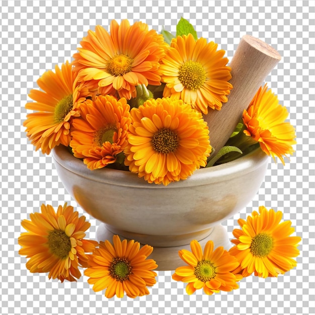 PSD calendula officinalis isolada