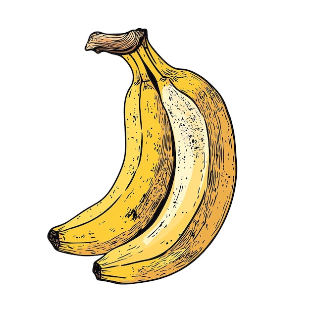 La calidad del plátano hd