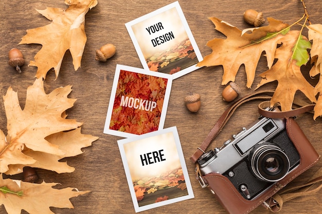 PSD câmera e fotos com folhas de outono