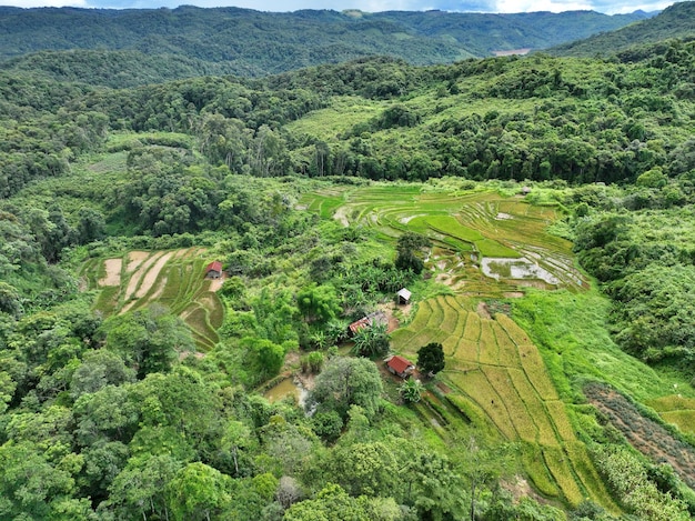 PSD campagne forestière et agricole