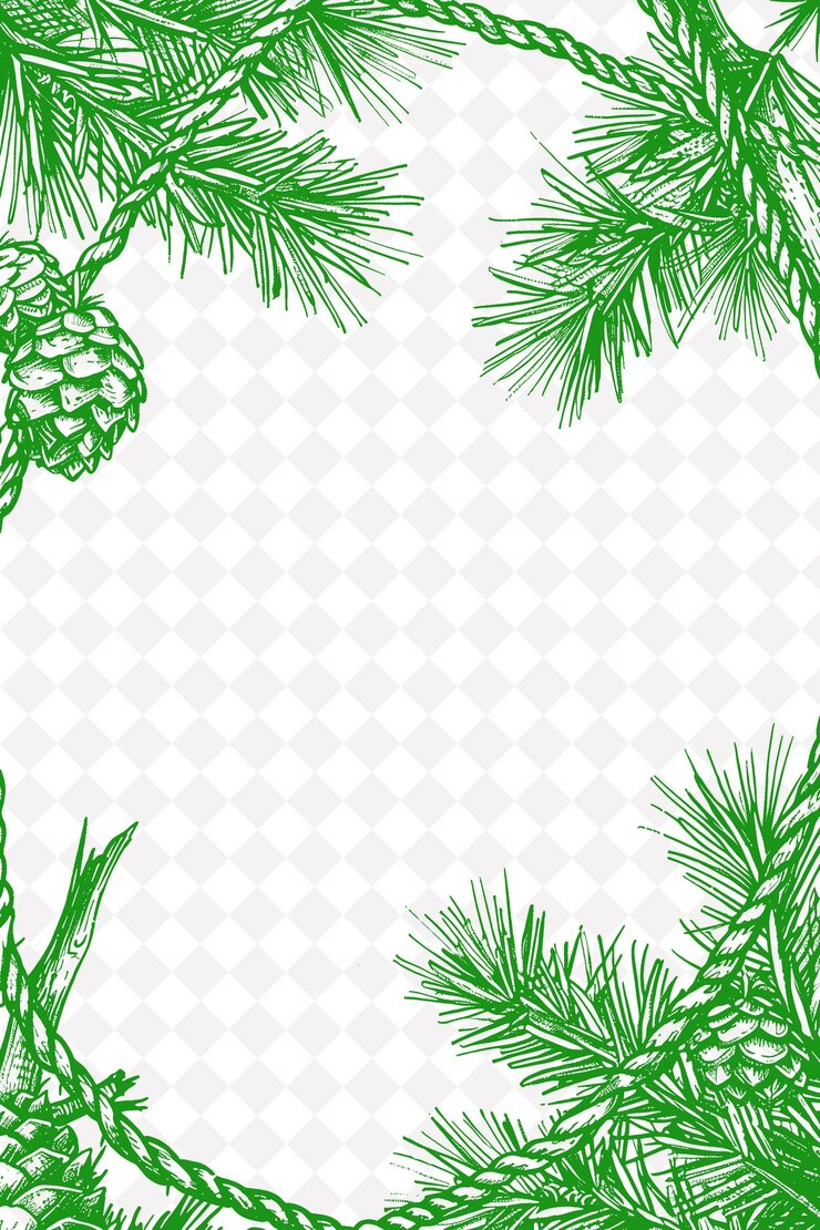 PSD camping-zeltrahmen mit paracord-saite und kieferkegelformen png kreatives hintergrunddesign