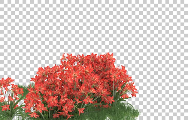 Campo de flores em fundo transparente. renderização em 3d - ilustração