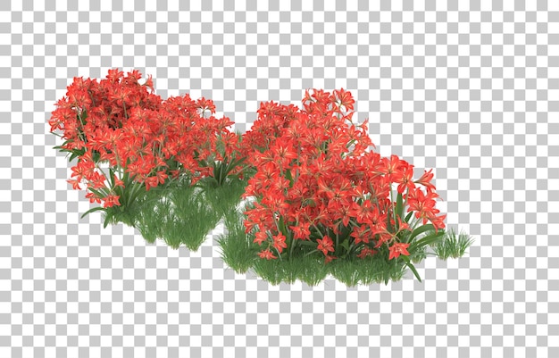 Campo de flores em fundo transparente. renderização em 3d - ilustração