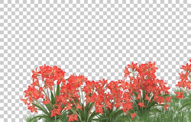 Campo de flores em fundo transparente. renderização em 3d - ilustração