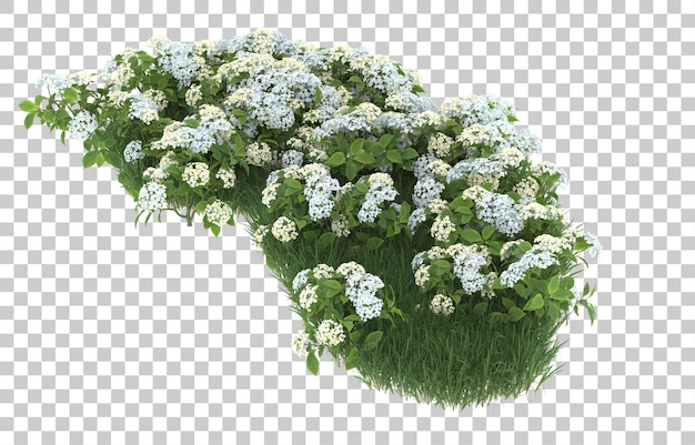 Campo de flores em fundo transparente. renderização em 3d - ilustração