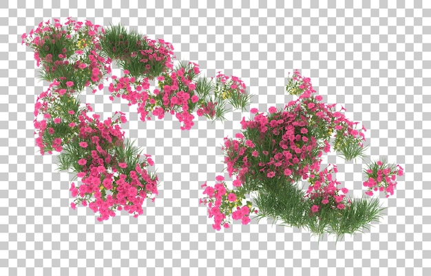 Campo de flores em fundo transparente. renderização em 3D - ilustração