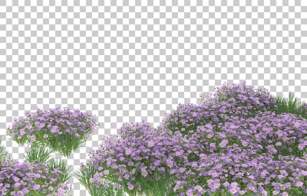 Campo de flores em fundo transparente. renderização em 3D - ilustração
