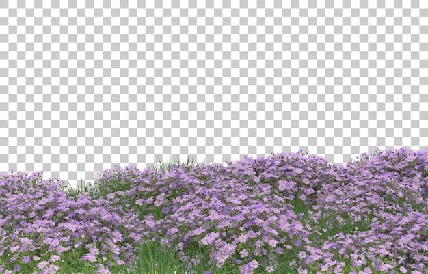 Campo de flores em fundo transparente. renderização em 3D - ilustração