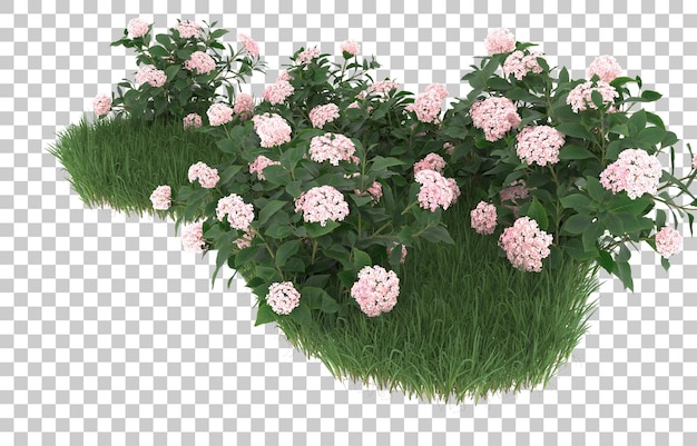 Campo de flores em fundo transparente. renderização em 3d - ilustração