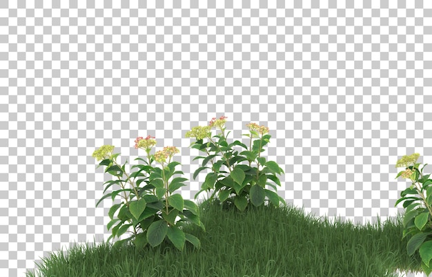 Campo de flores em fundo transparente. renderização em 3d - ilustração