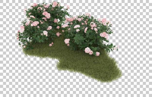 Campo de grama com flores em fundo transparente. renderização em 3d - ilustração