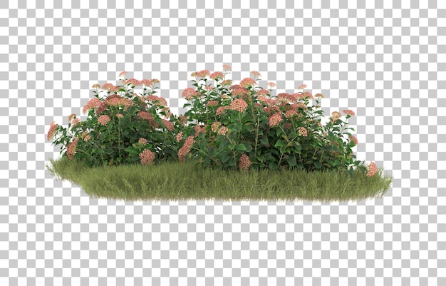 Campo de grama com flores em fundo transparente. renderização em 3d - ilustração
