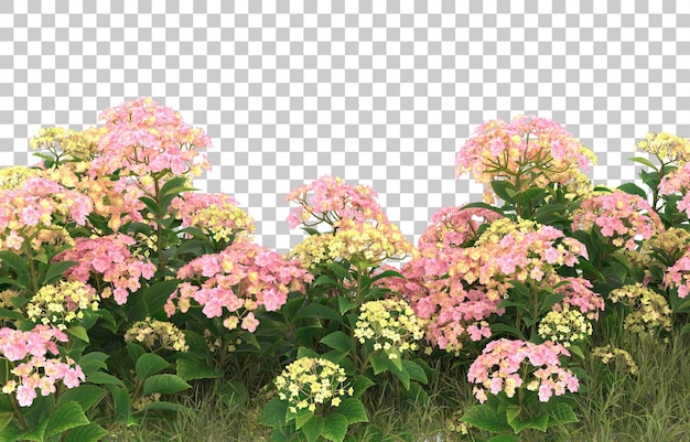 Campo de grama com flores em fundo transparente. renderização em 3d - ilustração